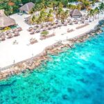 Snorkeling Adventure with Lunch and Tequila Tour - In-Depth Review of the Tour Experience