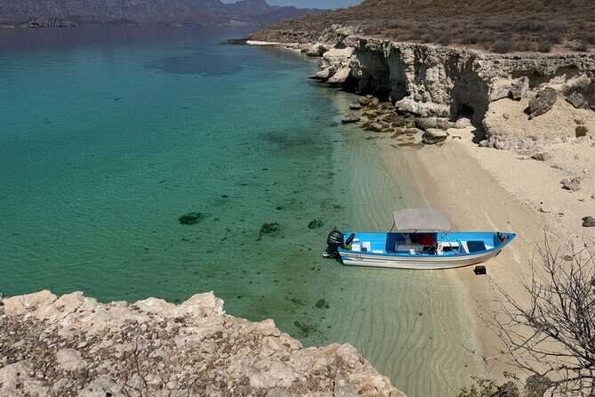 Snorkeling Adventure with Picnic from Villa del Palmar Hotel - Snorkeling in Vibrant Underwater Ecosystems
