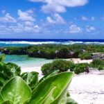 Snorkeling at Top Rock with Yumi Tours - Final Thoughts