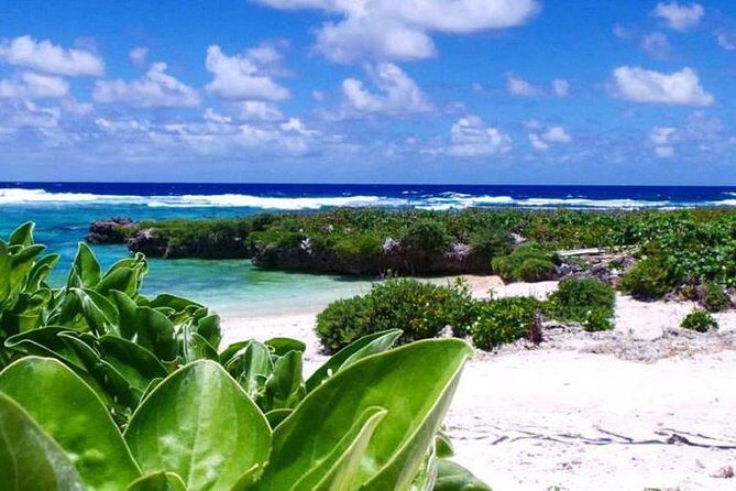 Snorkeling at Top Rock with Yumi Tours - Final Thoughts