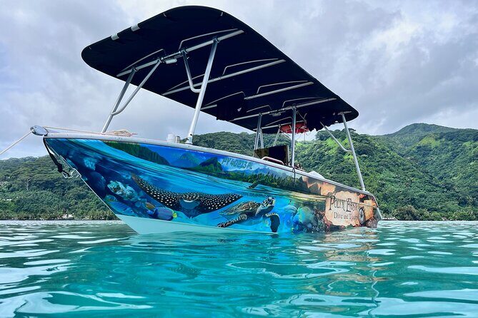 Snorkeling EN Small Group Tour in Tahiti - What’s Included and What to Expect
