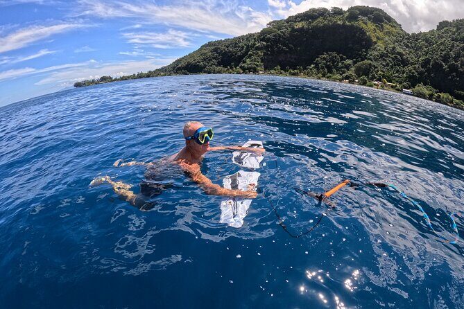 Snorkeling EN Subwing in Tahiti - Why Choose This Tour?