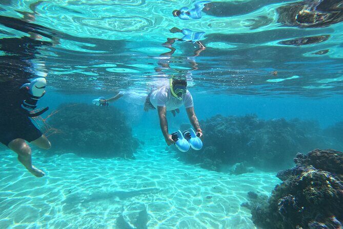 Snorkeling EN Underwater Scooter in Tahiti - Who Will Love This Tour?