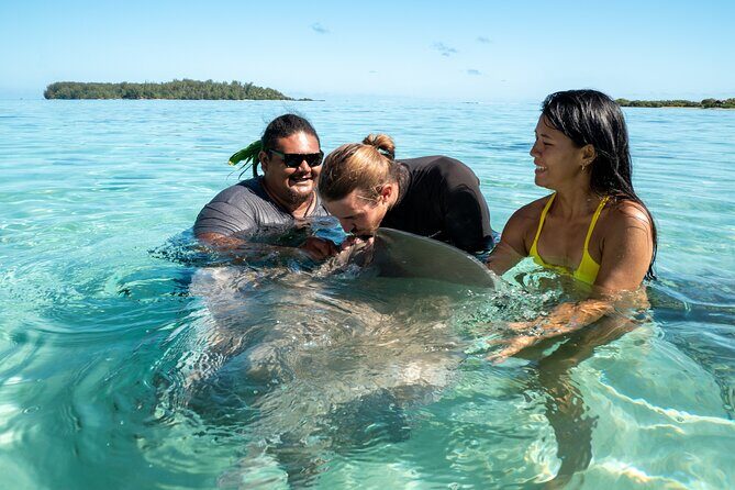 Snorkeling excursion and encounter with marine fauna in Moorea - FAQs