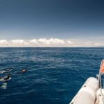 Snorkeling Experience in Terceira Island - An In-Depth Look at the Snorkeling Tour in Terceira