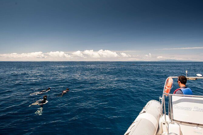 Snorkeling Experience in Terceira Island - An In-Depth Look at the Snorkeling Tour in Terceira