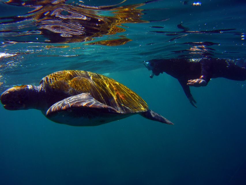 Snorkeling in a Volcanic Bay - Highlights and Considerations