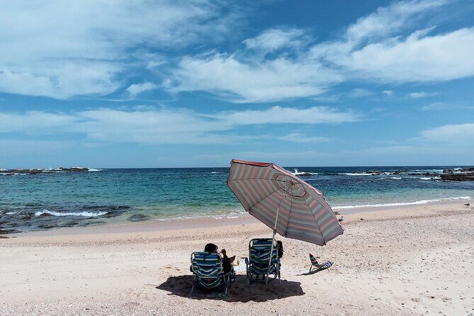 Snorkeling on a hidden beach (Hike) - Why This Tour Offers Great Value