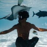 Snorkeling Safari Moorea (Half Day Tour) - Why This Tour Offers Good Value