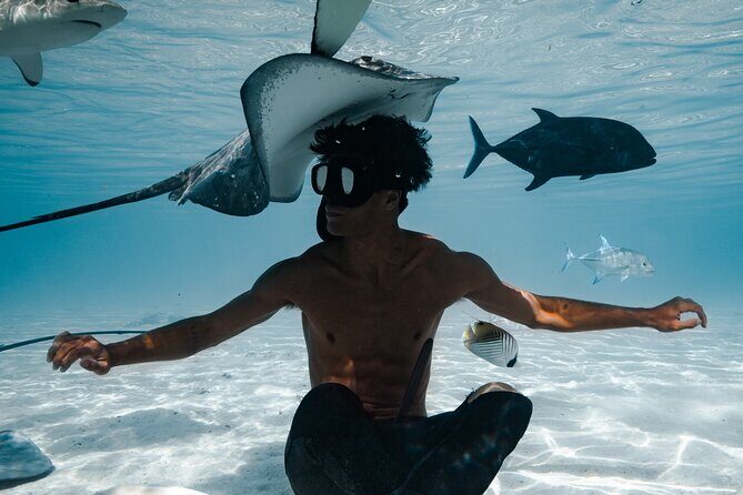 Snorkeling Safari Moorea (Half Day Tour) - Why This Tour Offers Good Value