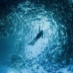 Snorkeling Tour at Land's End in Cabo San Lucas - The Sum Up
