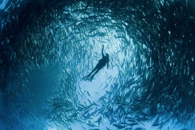 Snorkeling Tour at Land's End in Cabo San Lucas - The Sum Up