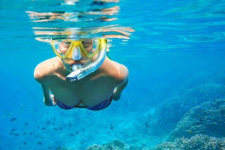 Snorkeling Tour Coast Taormina and Isola Bella - A Closer Look at the Tour Experience