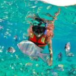Snorkeling tour Express in Cancun with Certified Guide - Who Should Consider This Tour?