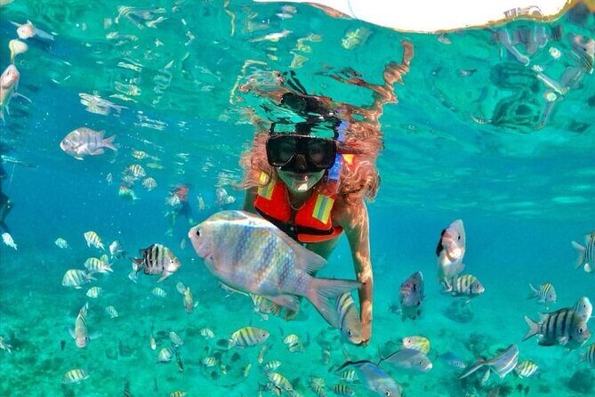 Snorkeling tour Express in Cancun with Certified Guide - Who Should Consider This Tour?