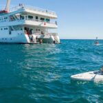 Snorkeling tour in Cabo San Lucas - A Deep Dive into the Experience