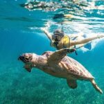 Snorkeling Tour with Turtles and Stingrays Puerto Morelos - Who Will Appreciate This Tour?