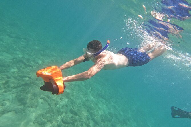snorkeling ,Turtle Watching in Cyprus - Who Should Consider This Tour?