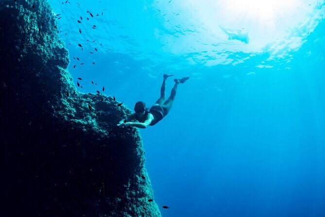 Snorkeling with Marine Biologist Expert from Sorrento - The Sum Up: Is This Snorkeling Tour Right for You?