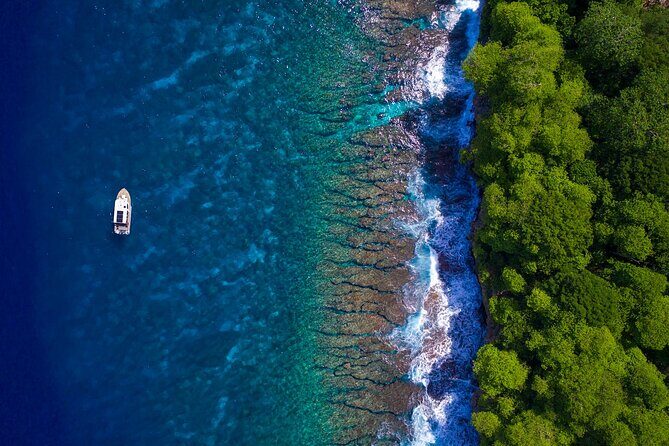 Snorkelling Christmas Island - Key Points