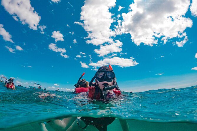 Snorkelling Experience - What Makes This Tour Stand Out?