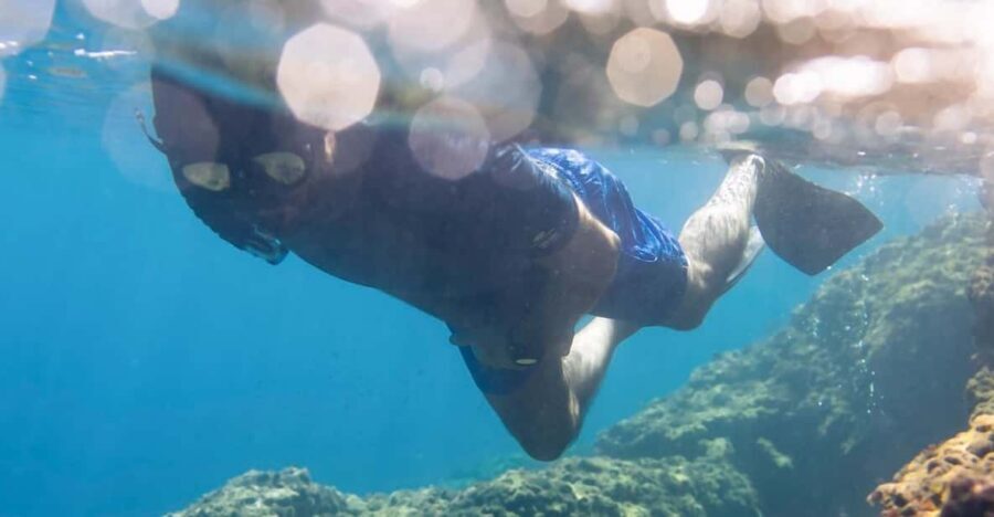 Snorkelling & Marine Biology Experience in the Cinque Terre - The Itinerary: A Closer Look