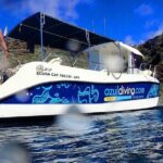 Snorkelling Trip at Ponta de São Lourenço Protected Area - Is It Worth the Price?
