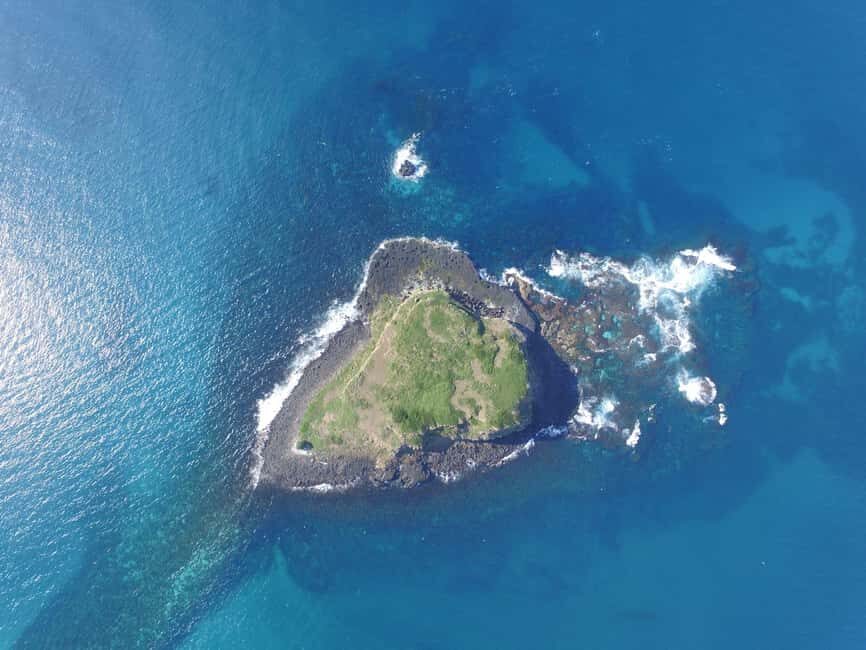 Snorkelling with Turtles at Cook Island Marine Rserve - Authentic Experiences from Real Travelers