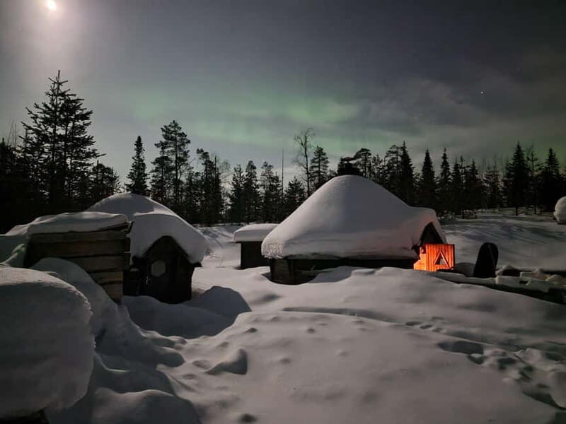 Snow Activities and reindeer feeding in nature - Authentic Cultural and Nature Experiences