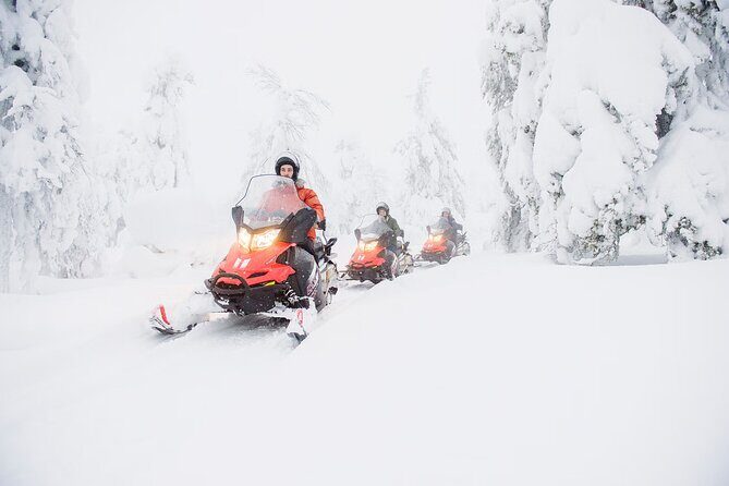 Snowmobile Adventure in Lapland - Who Will Love This Tour?