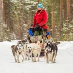 Snowmobile & Animals Day Tour - Practical Details and Considerations
