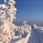 Snowmobile Arctic Adventure - In-Depth Review of the Snowmobile Arctic Adventure