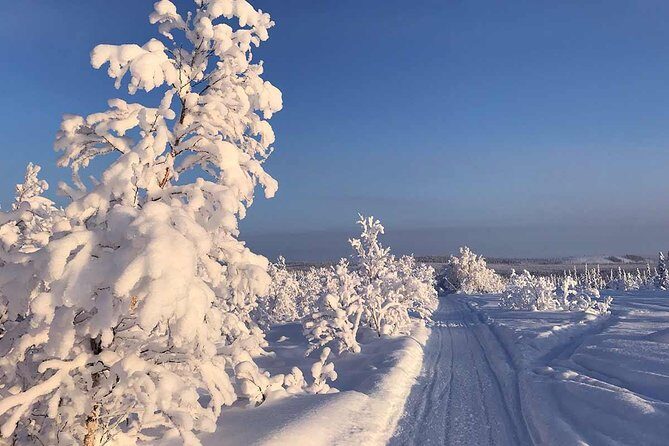 Snowmobile Arctic Adventure - In-Depth Review of the Snowmobile Arctic Adventure