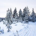 Snowmobile Driving - Afternoon start - Final Thoughts: Is It Worth It?