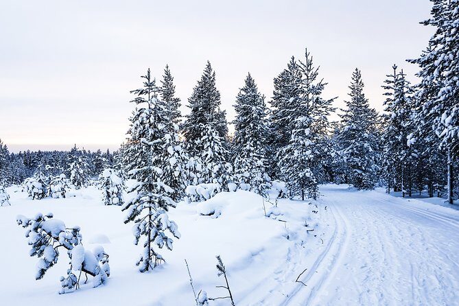 Snowmobile Driving - Afternoon start - Final Thoughts: Is It Worth It?