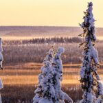 Snowmobile Driving - Morning start - The Experience in Detail