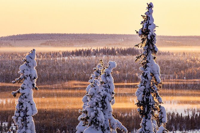 Snowmobile Driving - Morning start - The Experience in Detail