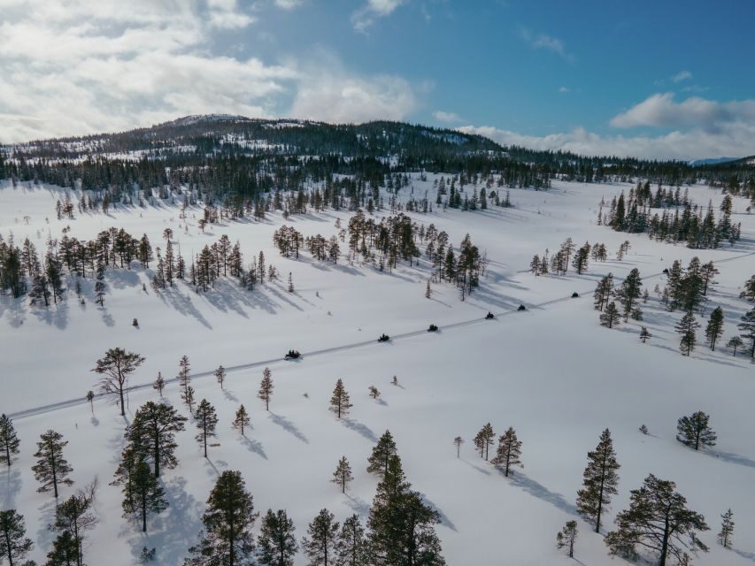 Snowmobile Safari in the mountains of Helgeland!