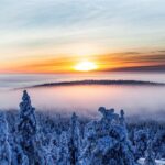 Snowmobile Safari in the Nature - Morning start - An In-Depth Look at the Snowmobile Safari Experience