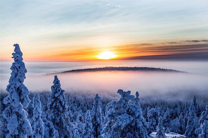 Snowmobile Safari in the Nature - Morning start - An In-Depth Look at the Snowmobile Safari Experience
