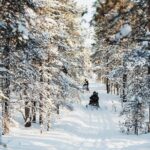 Snowmobile Safari into the Arctic Circle Forest - The Value of the Experience