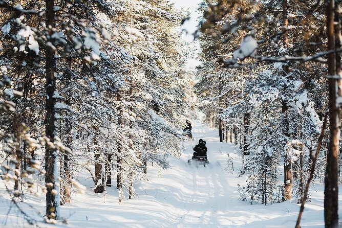 Snowmobile Safari into the Arctic Circle Forest - The Value of the Experience