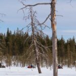 Snowmobile Safari into the Wilderness, Apukka Resort Rovaniemi - FAQ