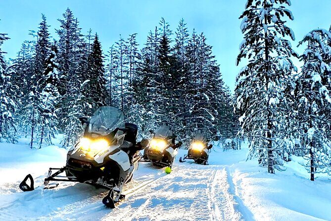 Snowmobile Safari to the Wilderness - Why This Tour Is a Great Choice
