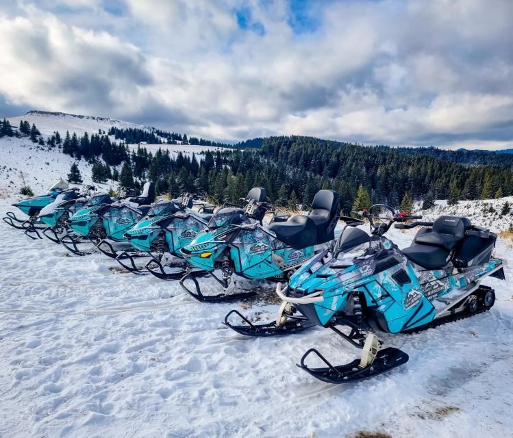 Snowmobile Tour In Bucegi Mountains - Final Thoughts
