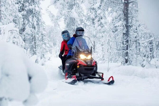 Snowmobile Tour with Small Group in Remote Wilderness 3 Hours - The Practicalities: Booking, Timing, and Considerations