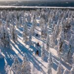 Snowmobiles and Huskies - Final Thoughts