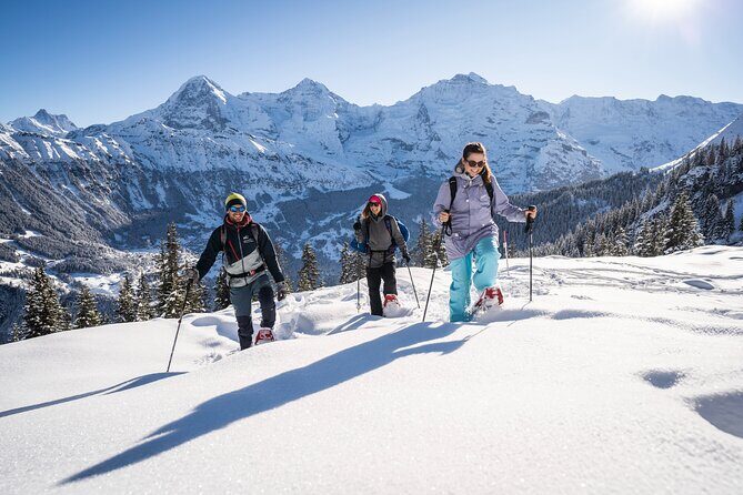 Snowshoe Adventure in the Swiss Alps - FAQs