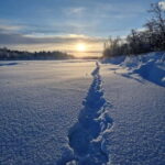 Snowshoe in a Winter Forest - An In-Depth Look at the Snowshoe in a Winter Forest Tour