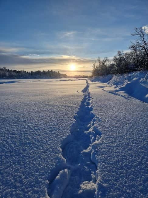 Snowshoe in a Winter Forest - An In-Depth Look at the Snowshoe in a Winter Forest Tour